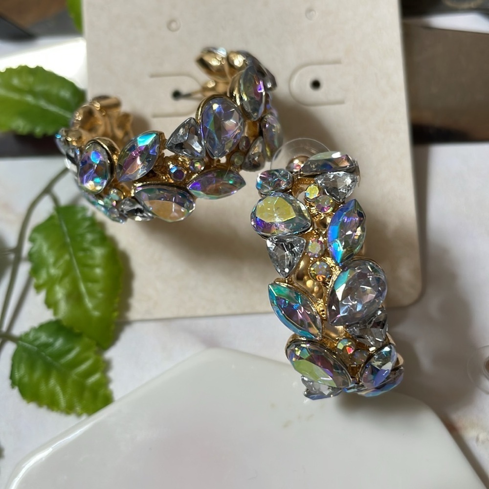 Crystal Hoop Earrings - Picture 9 of 14